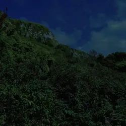 235 Night crickets above distant crashing waves (sleep safe)