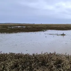 263 Wild open coastal reserve