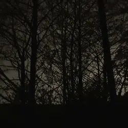 267 Hidden dell at night (sleep safe)