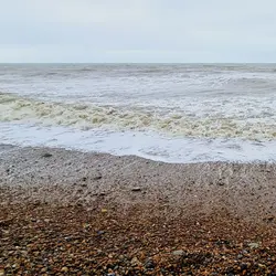 268 A wild ocean above ancient tree stumps