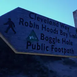 283 Night trees of Boggle Hole (sleep safe)