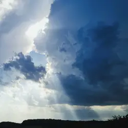 297 Sonorous rural woodland before an approaching storm