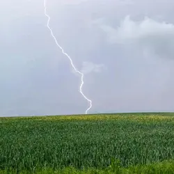 298 Thunderstorm over sonorous rural woodland (warning - sudden shock thunderclaps)
