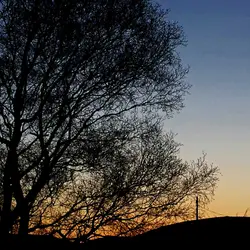 42 Night beside a stream in Wales (sleep safe)