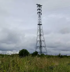 77 The cuckoo of Swanscombe Marsh