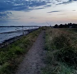 90 Wind on water, night curlews, rain later (sleep safe)