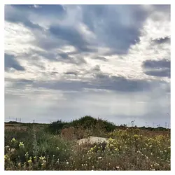 Daydream 1 (a series of short August adventures)