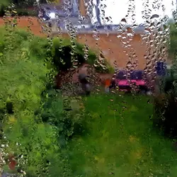 Sheltering in the back garden (from a storm)