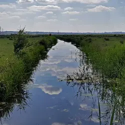 Slow rhythms of the Hoo Peninsula