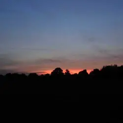 Suffolk Wood (part 3) - 10pm