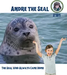 Andre the Seal – The Seal Who Always Came Home (a special episode for Esther and Emilia Lane)