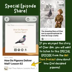 Special Episode: How Do Pigeons Deliver Mail? (Guest: Eryn Lynum from Nat Theo Podcast Show)