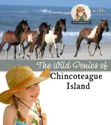 The Wild Ponies of Chincoteague Island (a special episode for Adelaide)