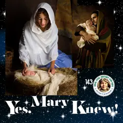 Yes, Mary Knew! (a Special Christmas Story for Isla and Zeke Sindelar)