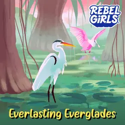 SOUNDSCAPE BONUS! Everlasting Everglades