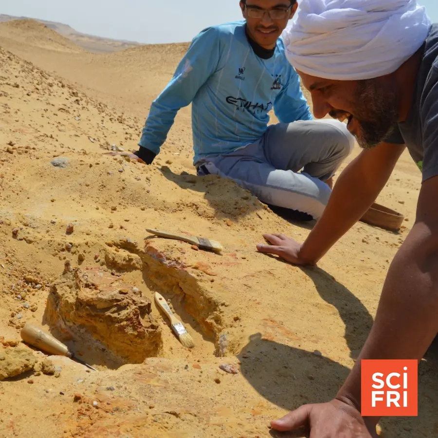 Science Friday