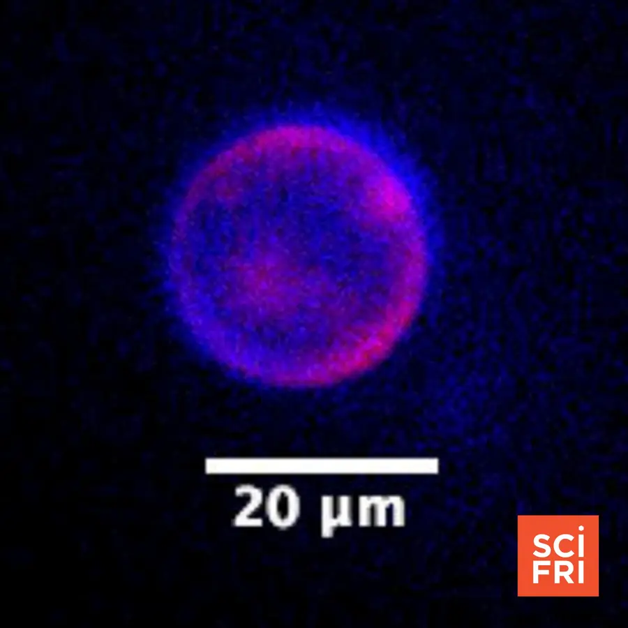 Science Friday