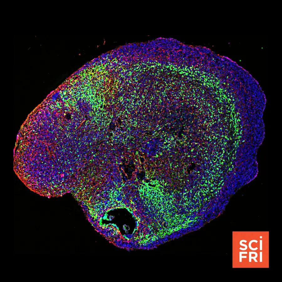 Science Friday