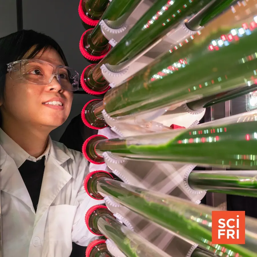 Science Friday