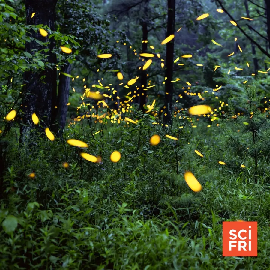 Science Friday