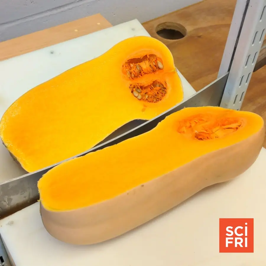 Science Friday