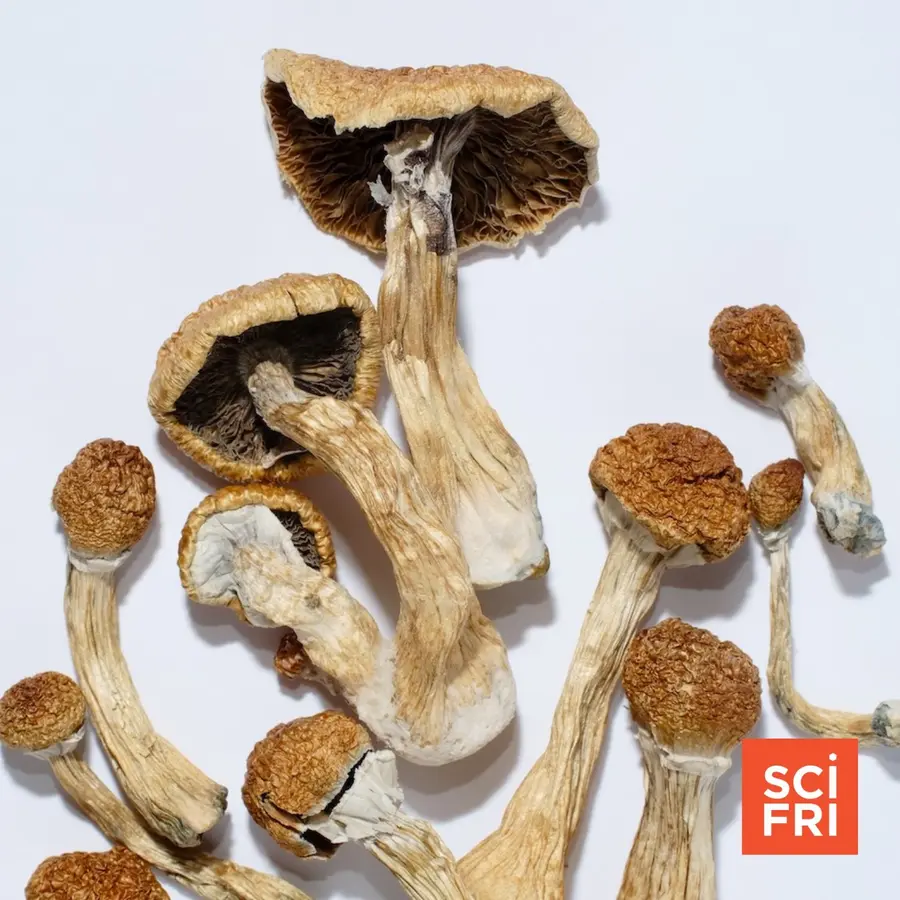 Science Friday