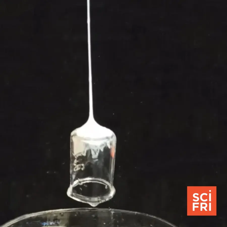 Science Friday