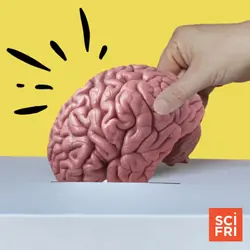 How Campaigns Use Psychology To Get Out The Vote