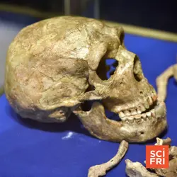 How did Neanderthals deal with illness and injuries?