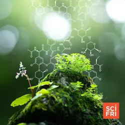 How Five Elements Define Life On Earth