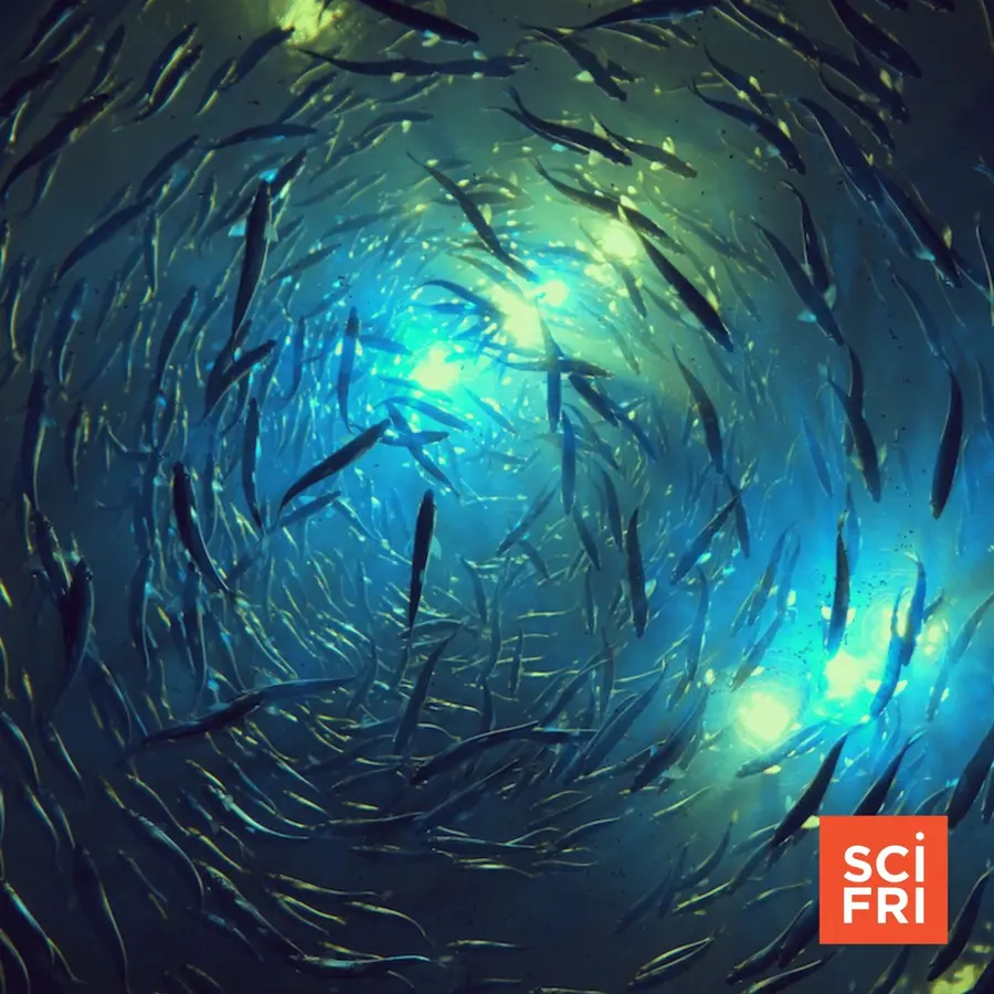 Science Friday