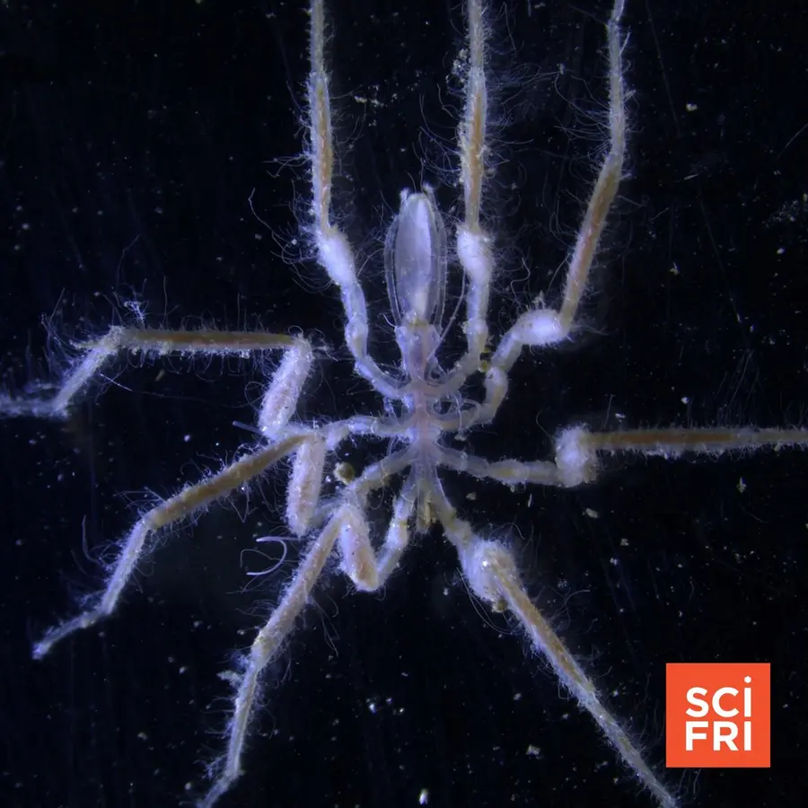Science Friday