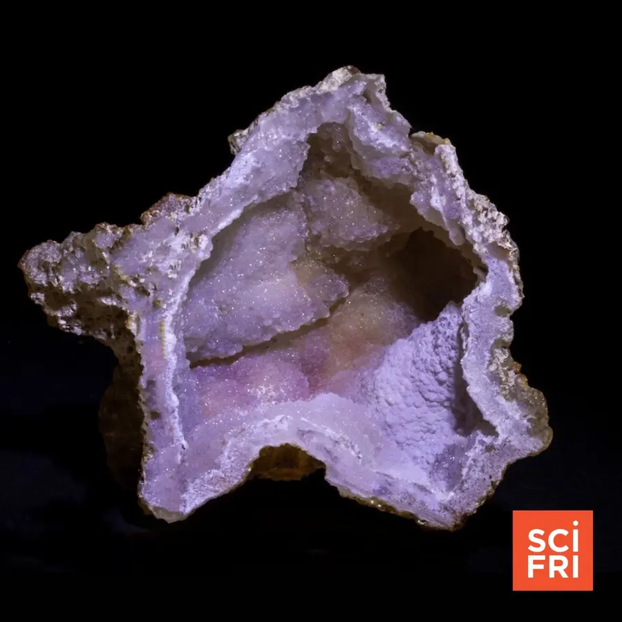 Science Friday