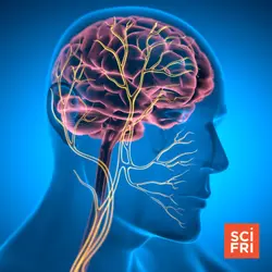 Is There Science Behind The ‘Nervous System Reset’?