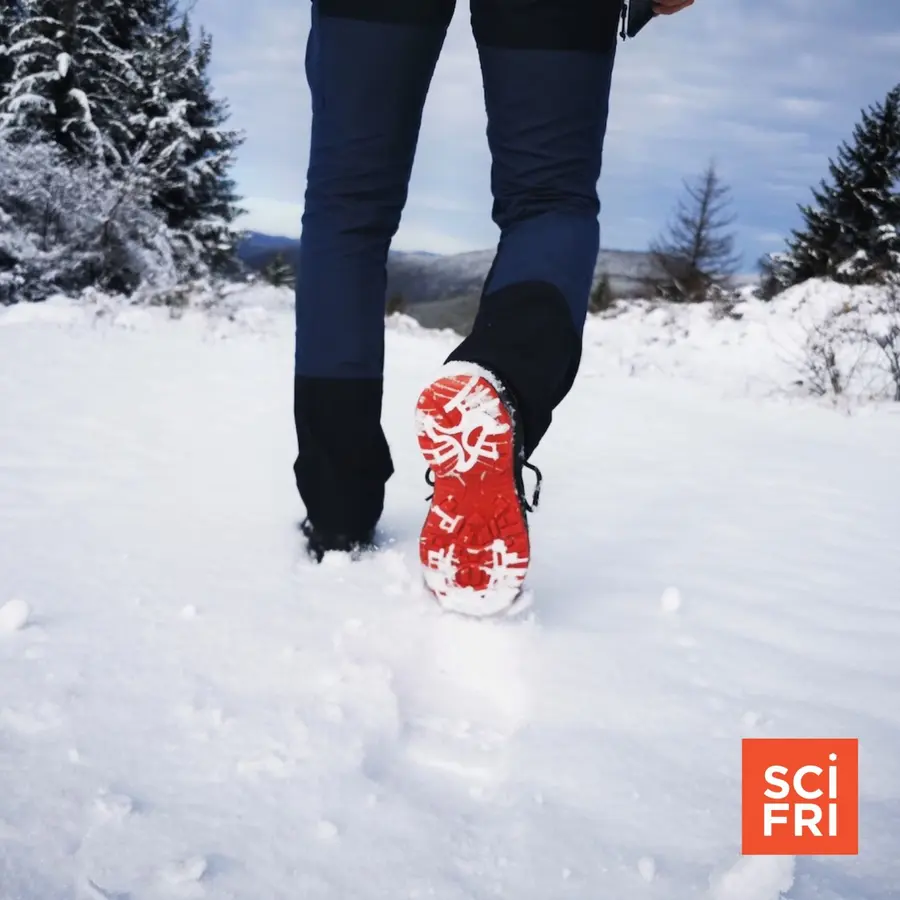 Science Friday