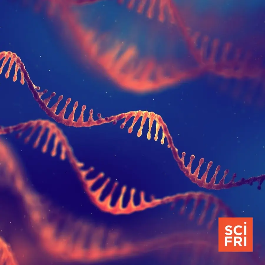 Science Friday