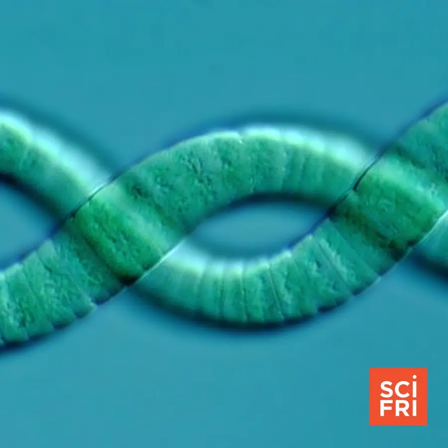 Science Friday