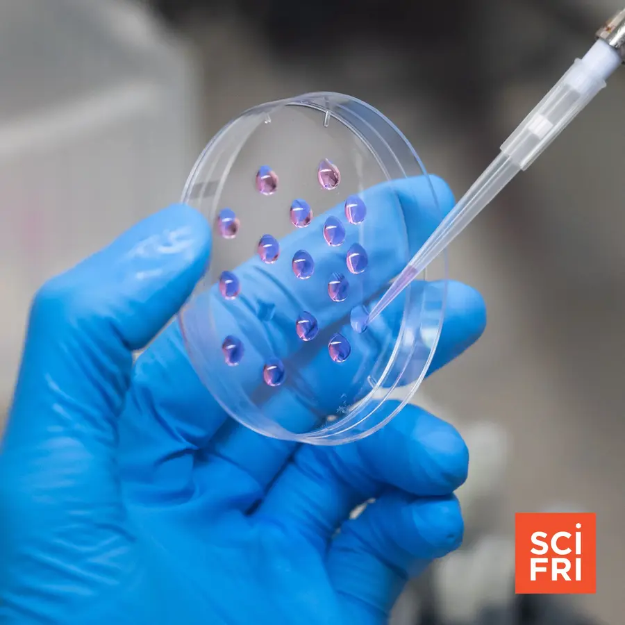 Science Friday