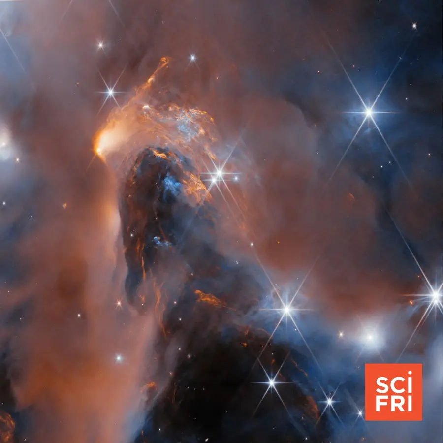 Science Friday