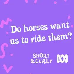 Do horses want us to ride them?
