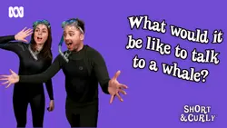 What would it be like to talk to a whale?