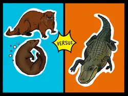 Alligators vs Otters