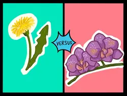 Dandelions vs Orchids