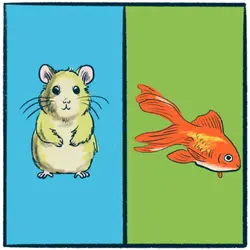 Hamsters vs. Goldfish: an adorable debate
