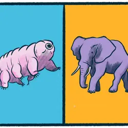 Tardigrades vs. Elephants
