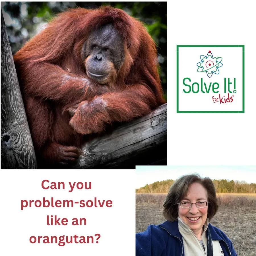 SolveItForKids Science podcast
