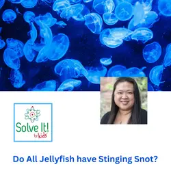 Do All Jellyfish have Stinging Snot?
