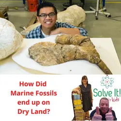 How Did Marine Fossils End Up on Dry Land?