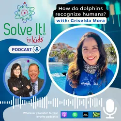 How Do Dolphins Recognize Humans?