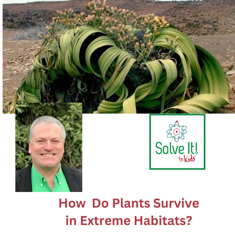 SolveItForKids Science podcast